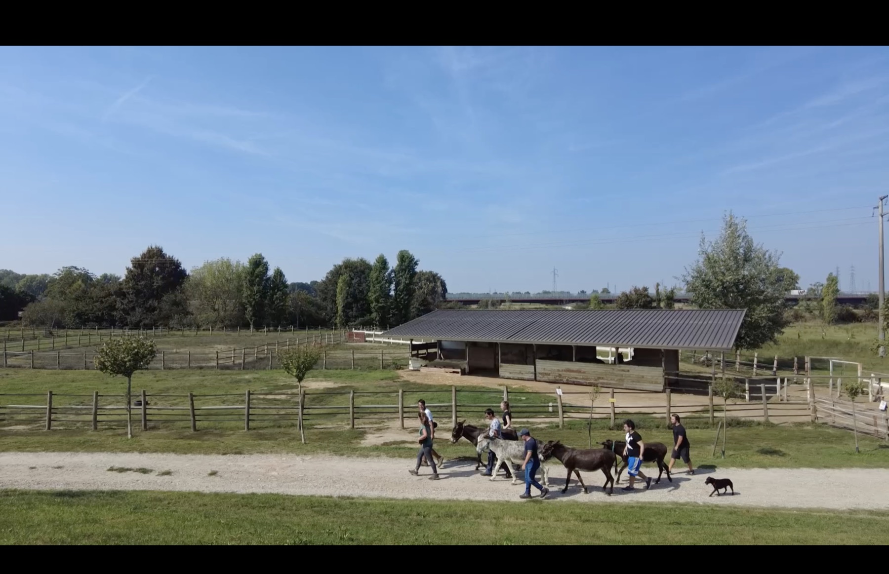 Cascina Cappuccina: animals and the people who care for them